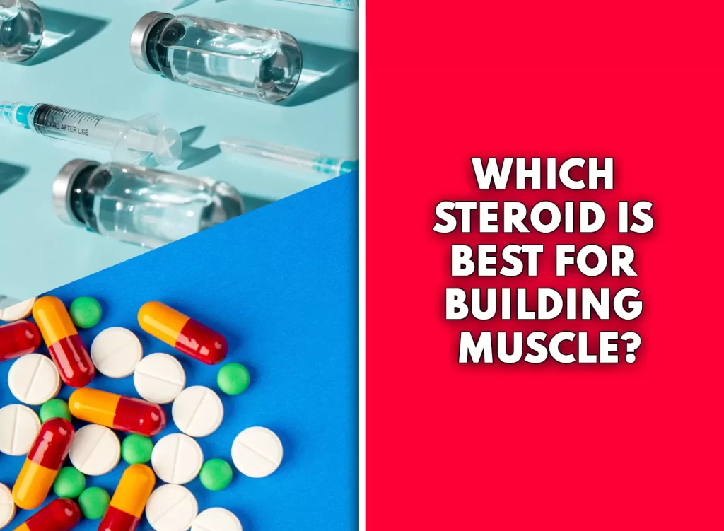 Steroid for building muscle