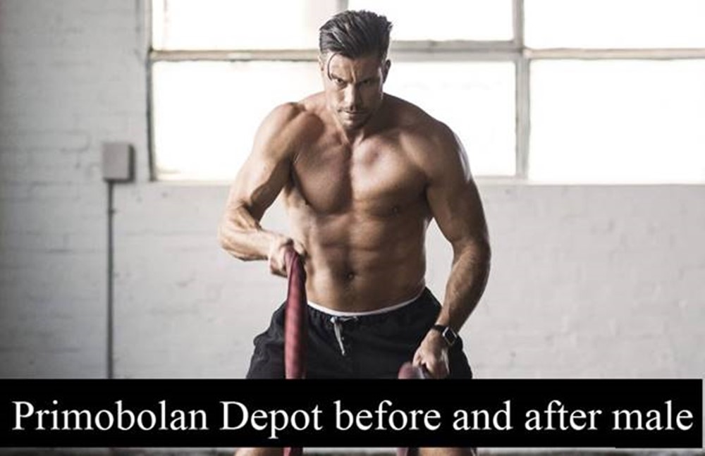 Primobolan Depot before and after male who want fast results in a short amount of time