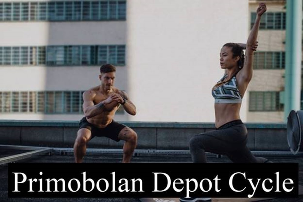 Primobolan Depot Cycle Is the Best Injectable Cycle for Anyone Who Wants to Transform