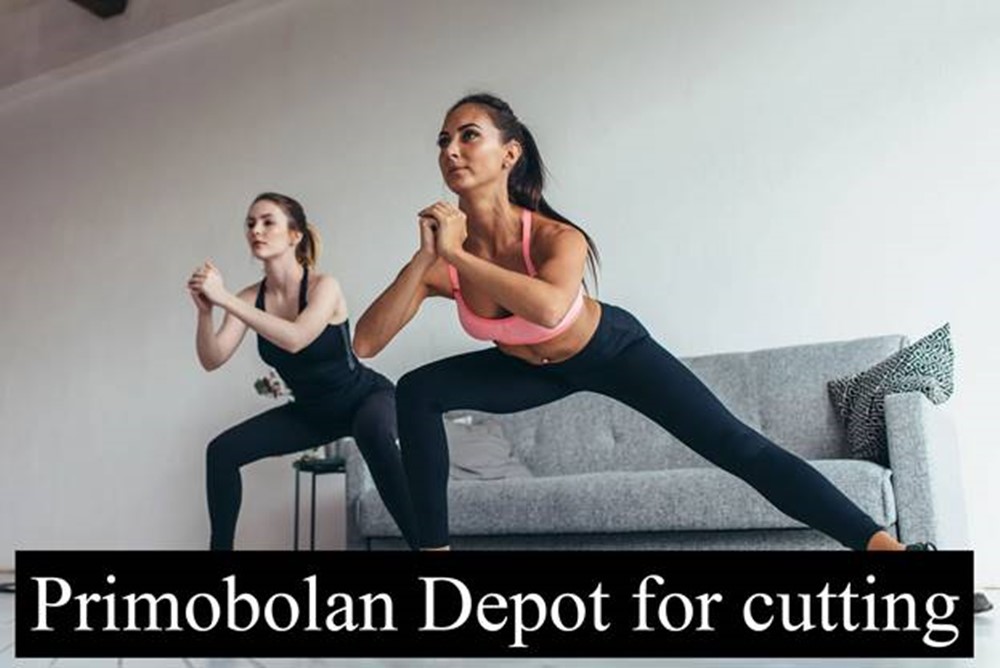 Primobolan Depot steroid for athletes and bodybuilders for a pre-competition cutting cycle
