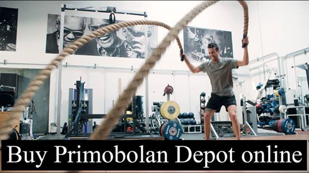 You can buy Primobolan Depot online from all suppliers