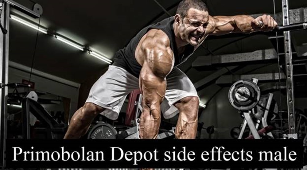 Common Primobolan Depot side effects male as a result of the incorrect dosage of this steroid